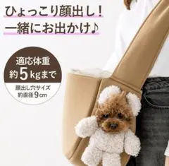 Item thumbnail for item cbb5629d-ce81-44fc-8377-c49438a779fd