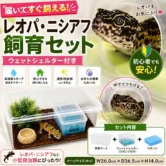 レオパ ニシアフ トカゲ 爬虫類 飼育ケージ×ウェットシェルターセットのサムネイル