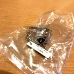 家庭教師ヒットマンREBORN！　ボンゴレリングコレクション　雨