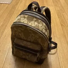 COACH BAPE bag コーチ リュック バックパック　エイプ　べイプのサムネイル