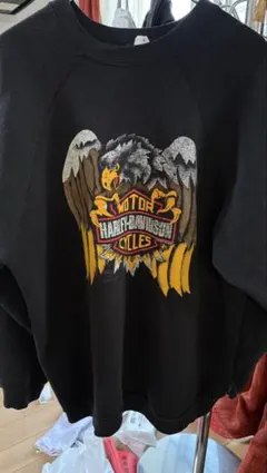 Item thumbnail for item e3d5d826-fd13-4136-bfe3-0717e287ef8f