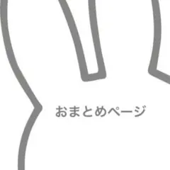 ✴︎ Lilly様　専用　✴︎