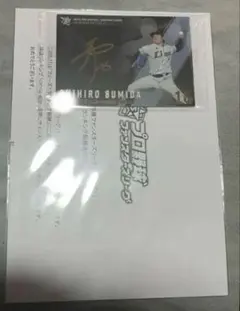 プロ野球ファンスターズリーグ 箔押しサイン入りスコアカード 藤井聖