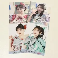 CANDY TUNE 小川奈々子 立花琴未 ポストカード・ブロマイド4枚セット