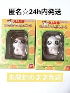 ♡とっとこハム太郎どーる　ハム太郎　リボンちゃん