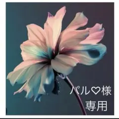 パル♡様　専用