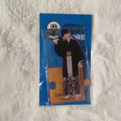 向井康二 アクスタ