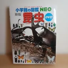 【小学館の図鑑 NEO　[新版] 昆虫　DVD つき】小学館　図鑑