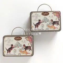カファレル　トランク缶　空き缶　小物入れ　ネコ　ねこ　猫　サビ　茶トラ　タビーのサムネイル