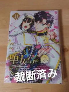 【裁断済】聖女のはずが、どうやら乗っ取られました11