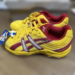 ASICS THE WAVE ハンドボールシューズ