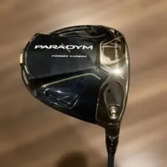2025年最新】パラダイム ドライバー ヘッドの人気アイテム - メルカリ