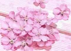 sakurappi様 リクエスト 2点 まとめ商品