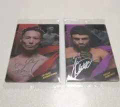 Item thumbnail for item 85e2289b-1eff-4103-b932-d2ccf7613aba