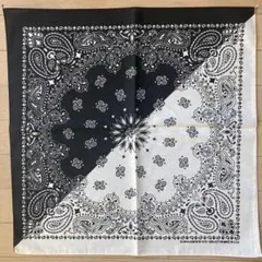 Item thumbnail for item 2ebc7676-25a8-4064-b5f1-1e5fb15df460