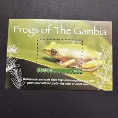 pafe☆様 リクエスト 5点 まとめ商品