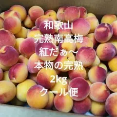 和歌山県産 紀州南高梅 4L 5キロ - メルカリ