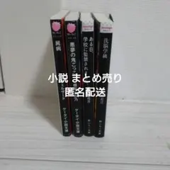 小説 4冊 まとめ売り 野いちご文庫 匿名配送 即購入⭕