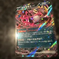 キチキギスex sr