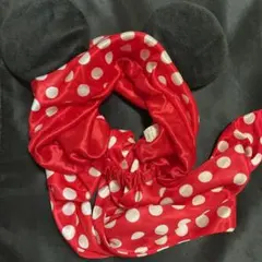 ディズニー ヘアバンド