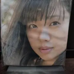 Item thumbnail for item aefa5d8b-9326-474d-a4af-b285b915212e