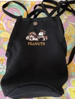 最終お値下げ❣️スヌーピー 郵便局限定ポシェット