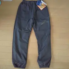 Item thumbnail for item 7e17dab0-3b4e-4067-a23e-ff8f2a73c77d