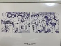 2026年最新】ダイヤのa 稲実の人気アイテム - メルカリ