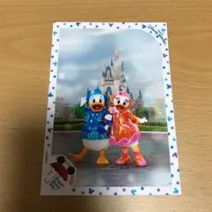 ディズニー スペシャルフォト 値下げ可