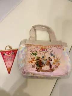 ディズニー40周年スーベニアランチケース