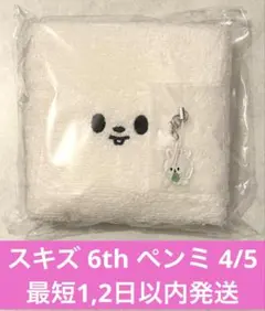 【StrayKids】6th fanmeeting 入場特典 リービット