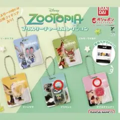 ズートピア　ブリスターチャームコレクション