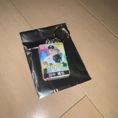 千葉ロッテマリーンズ 田中晴也 パワプロ レンチキュラーキーホルダー