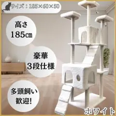 Item thumbnail for item bf545290-6d93-4733-a965-72d0aa6b4936