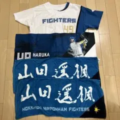 Item thumbnail for item e910fda3-c947-413c-957b-73b0f0c177a2