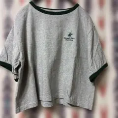 Beverly Hills Polo Club 半袖Tシャツ M グレーショート