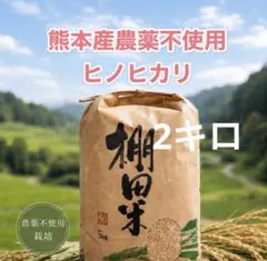 熊本産農薬不使用白米2キロのサムネイル