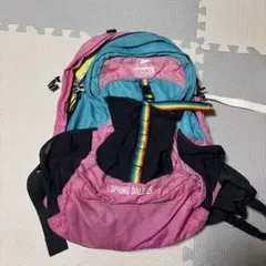 CHUMS SPRING DALE 25 バックパック