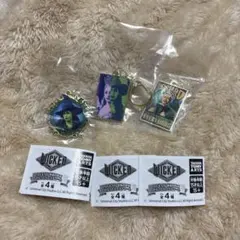 ウィキッド　ガチャガチャ　きらっとバッグチャーム　エルファバ　オズの魔法使い