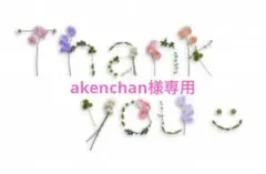 akenchan様専用　梅干し500g 赤紫蘇500gのサムネイル