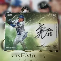 Item thumbnail for item c0f5eeb6-2fa7-4617-9799-0517597bd52b