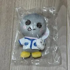 RIIZE ウンソク ソンヨンドリ 8cm ぬいぐるみ - メルカリ