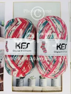マルティナさんオパール毛糸KFS オスカーたちのクローゼット2 たこあげ