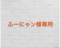 ふーにゃン様専用 霧のプリーズラク 他