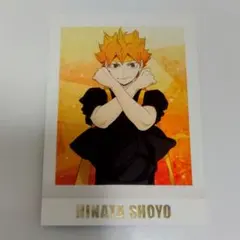 ハイキュー!! ぱしゃこれPREMIUM カード 9 日向翔陽