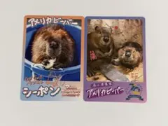 もちころり様 リクエスト 2点 まとめ商品