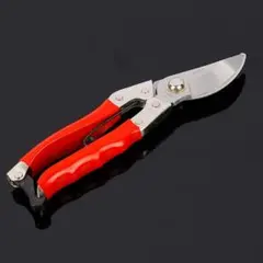 Item thumbnail for item 3d27d640-f9e9-453c-8d9b-dd0b2909f734