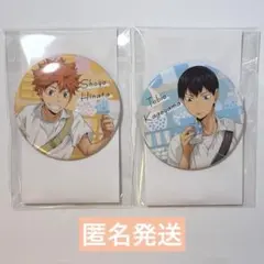 ハイキュー‼︎ 日向翔陽 影山飛雄 カラパレ より道 缶バッジ