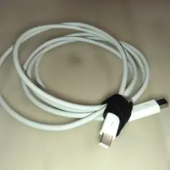 Item thumbnail for item 54ff3ef1-aee2-404f-a360-bceac768adab