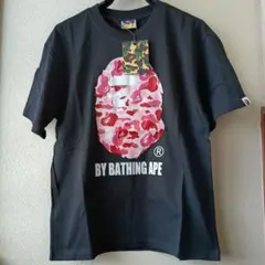 Item thumbnail for item 50543a76-7d88-419f-a12e-83a6ecb2d597